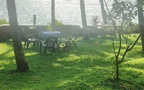 Perch By The Sea